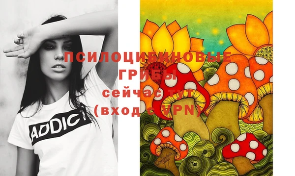гидра Тобольск