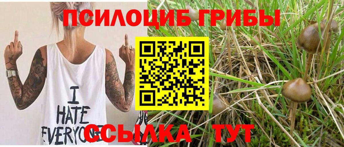  COCAIN Волжск